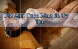 f88 app cược bóng đá uy tín
