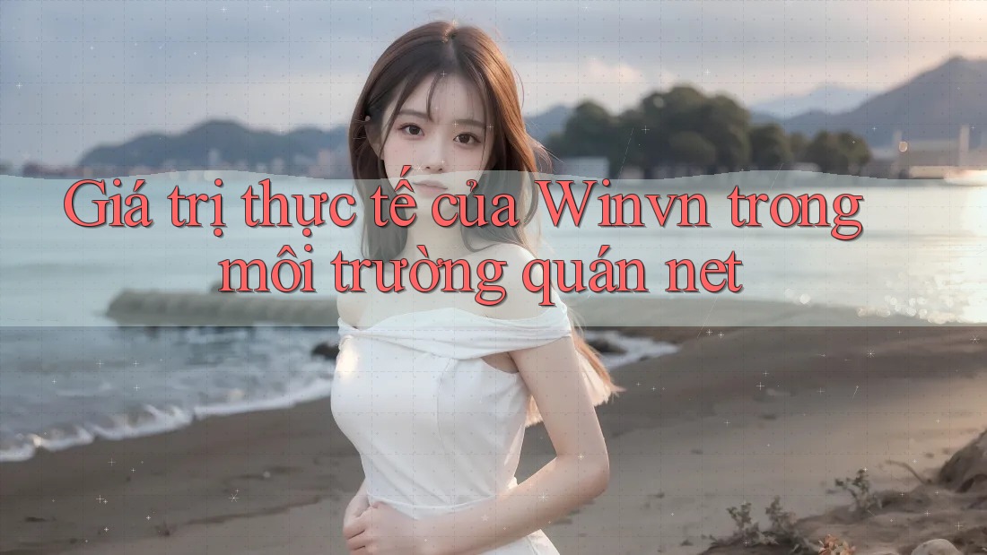 Giá trị thực tế của Winvn trong môi trường quán net
