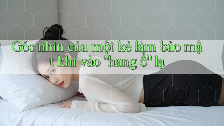 Góc nhìn của một kẻ làm bảo mật khi vào “hang ổ” lạ Góc nhìn của một kẻ làm bảo mật khi vào “hang ổ” lạ
