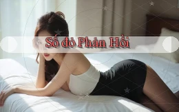 số đỏ Phản hồi