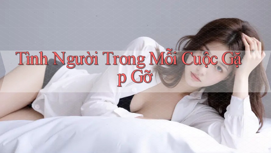 Tình Người Trong Mỗi Cuộc Gặp Gỡ